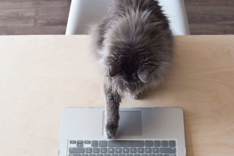Marketing Automation-Email Marketing-Varamedia