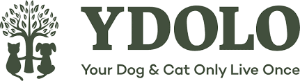 ydolo logo